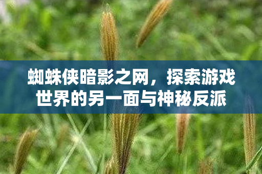 蜘蛛侠暗影之网,探索游戏世界的另一面与神秘反派 蜘蛛侠暗影之网,探索游戏世界的另一面与神秘反派