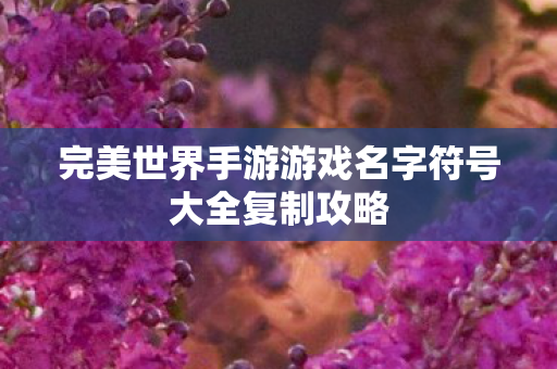 完美世界手游游戏名字符号大全复制攻略图片