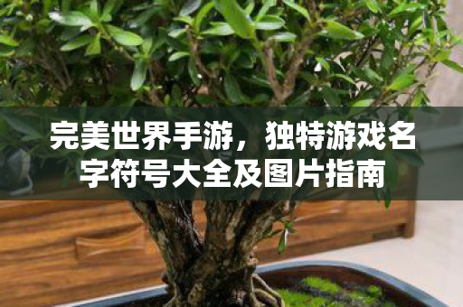 独特游戏名字符号大全及图片指南图片