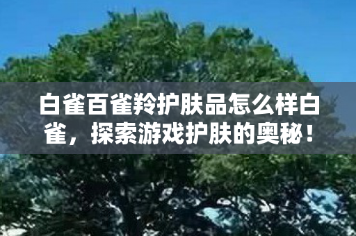 白雀百雀羚护肤品怎么样白雀，探索游戏护肤的奥秘！