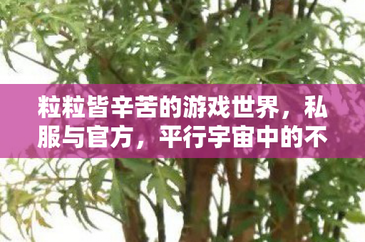 粒粒皆辛苦的游戏世界，私服与官方，平行宇宙中的不同体验
