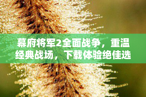 幕府将军2全面战争,重温经典战场,下载体验绝佳选择! 幕府将军2全面战争,重温经典战场,下载体验绝佳选择!