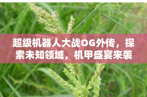 超级机器人大战OG外传图片
