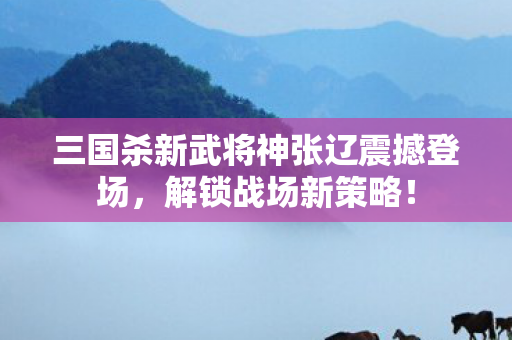 三国杀新武将神张辽震撼登场，解锁战场新策略！
