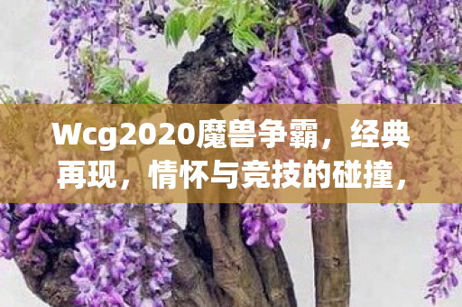 Wcg2020魔兽争霸图片