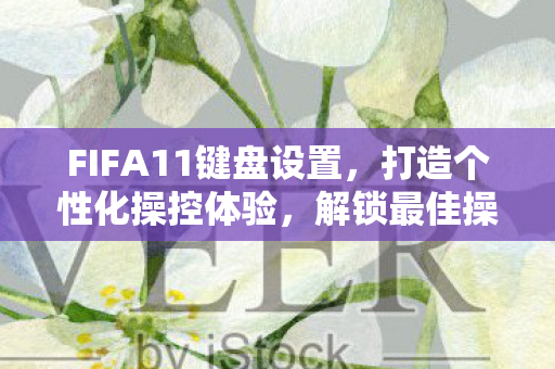 FIFA11键盘设置，打造个性化操控体验，解锁最佳操作技巧！