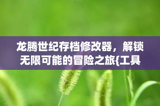龙腾世纪存档修改器,解锁无限可能的冒险之旅{工具} 龙腾世纪存档修改器,解锁无限可能的冒险之旅{工具}