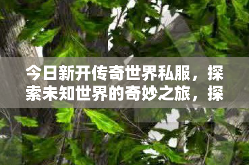 探索未知世界的奇妙之旅图片