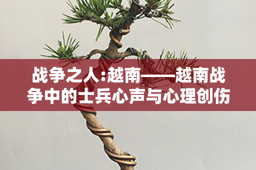 战争之人:越南——越南战争中的士兵心声与心理创伤