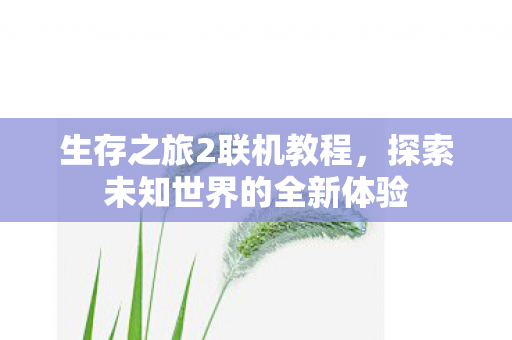 生存之旅2联机教程，探索未知世界的全新体验
