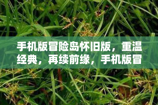手机版冒险岛怀旧版，重温经典，再续前缘，手机版冒险岛怀旧版，重温经典，再续前缘
