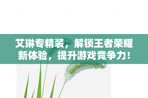 艾琳专精装，解锁王者荣耀新体验，提升游戏竞争力！
