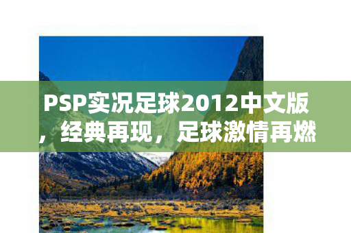 PSP实况足球2012中文版图片
