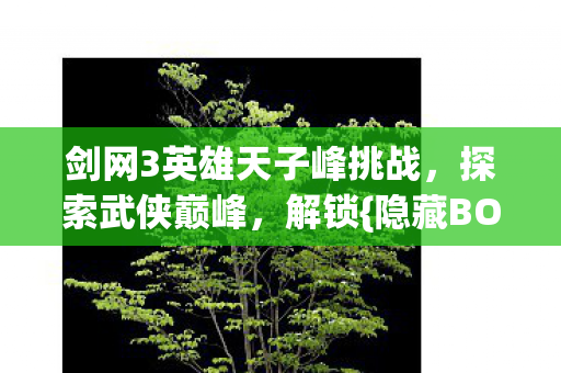 剑网3英雄天子峰挑战图片