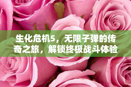 无限子弹的传奇之旅图片