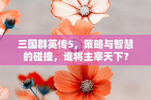 策略与智慧的碰撞图片