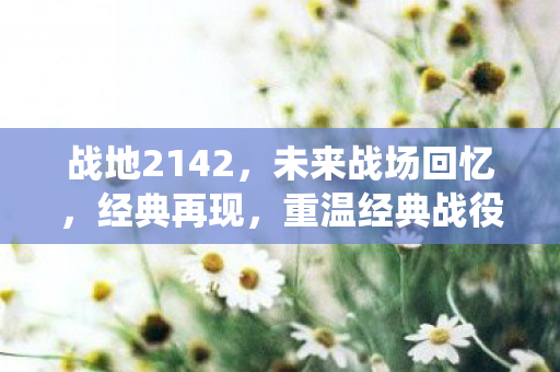 战地2142,未来战场回忆,经典再现,重温经典战役 战地2142,未来战场回忆,经典再现,重温经典战役