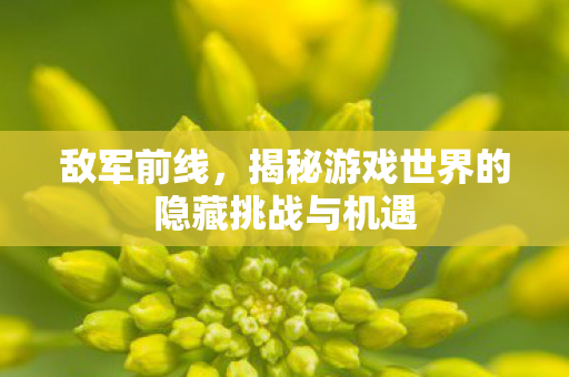 敌军前线,揭秘游戏世界的隐藏挑战与机遇 敌军前线,揭秘游戏世界的隐藏挑战与机遇