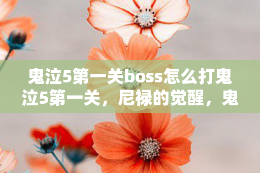 鬼泣5第一关boss怎么打鬼泣5第一关，尼禄的觉醒，鬼泣5，尼禄觉醒，第一关Boss战攻略