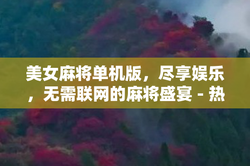 无需联网的麻将盛宴图片