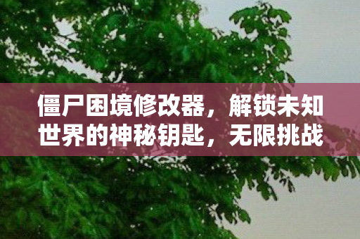 僵尸困境修改器，解锁未知世界的神秘钥匙，无限挑战！