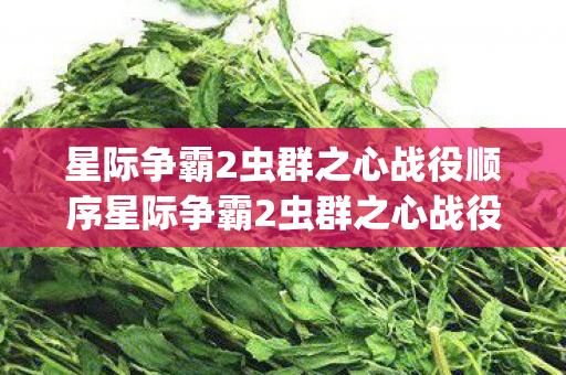 星际争霸2虫群之心战役顺序星际争霸2虫群之心战役，探索虫群之心的奥秘，星际争霸2，虫群之心战役全解析