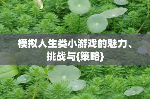 模拟人生类小游戏的魅力、挑战与{策略}