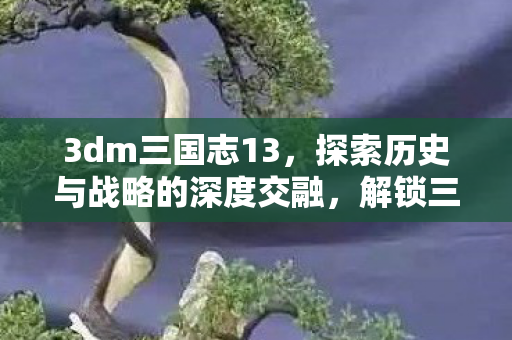 3dm三国志13，探索历史与战略的深度交融，解锁三国新篇章！