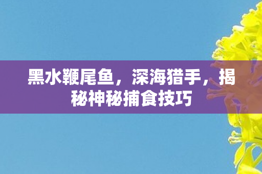 黑水鞭尾鱼,深海猎手,揭秘神秘捕食技巧 黑水鞭尾鱼,深海猎手,揭秘神秘捕食技巧