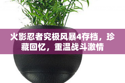 火影忍者究极风暴4存档图片