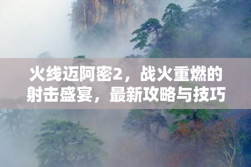 火线迈阿密2，战火重燃的射击盛宴，最新攻略与技巧分享