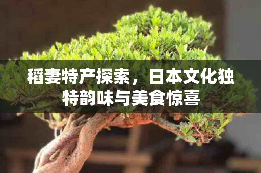 稻妻特产探索，日本文化独特韵味与美食惊喜
