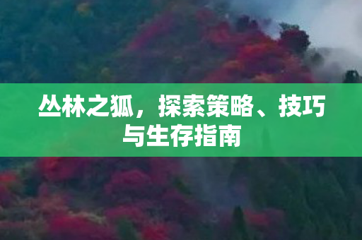 丛林之狐,探索策略、技巧与生存指南 丛林之狐,探索策略、技巧与生存指南