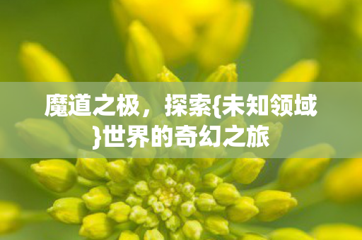 魔道之极,探索{未知领域}世界的奇幻之旅 魔道之极,探索{未知领域}世界的奇幻之旅