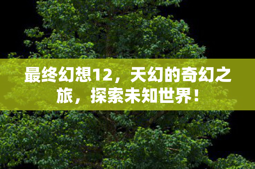 最终幻想12,天幻的奇幻之旅,探索未知世界! 最终幻想12,天幻的奇幻之旅,探索未知世界!