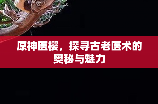 原神医樱,探寻古老医术的奥秘与魅力 原神医樱,探寻古老医术的奥秘与魅力