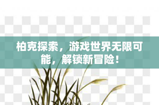 柏克探索,游戏世界无限可能,解锁新冒险! 柏克探索,游戏世界无限可能,解锁新冒险!