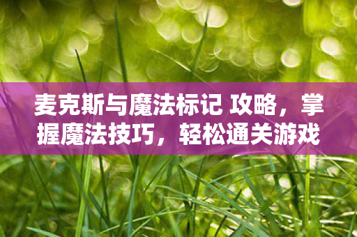 麦克斯与魔法标记 攻略图片