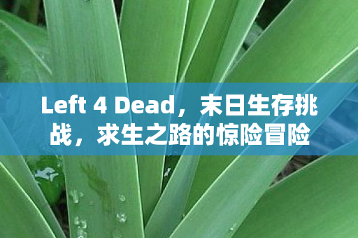 Left 4 Dead,末日生存挑战,求生之路的惊险冒险 Left 4 Dead,末日生存挑战,求生之路的惊险冒险