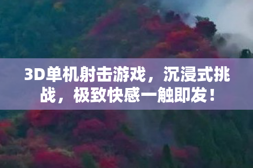 3D单机射击游戏，沉浸式挑战，极致快感一触即发！
