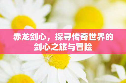 赤龙剑心,探寻传奇世界的剑心之旅与冒险 赤龙剑心,探寻传奇世界的剑心之旅与冒险