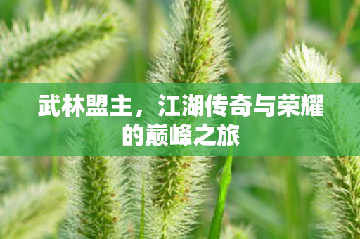 武林盟主，江湖传奇与荣耀的巅峰之旅