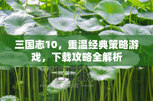 三国志10,重温经典策略游戏,下载攻略全解析 三国志10,重温经典策略游戏,下载攻略全解析
