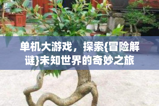 单机大游戏,探索{冒险解谜}未知世界的奇妙之旅 单机大游戏,探索{冒险解谜}未知世界的奇妙之旅