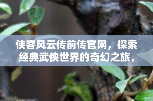 侠客风云传前传官网，探索经典武侠世界的奇幻之旅，解锁武林秘籍