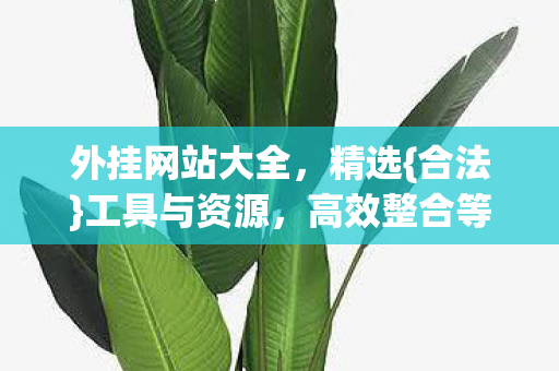 外挂网站大全，精选{合法}工具与资源，高效整合等你来用