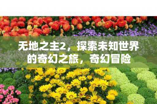 无地之主2，探索未知世界的奇幻之旅，奇幻冒险