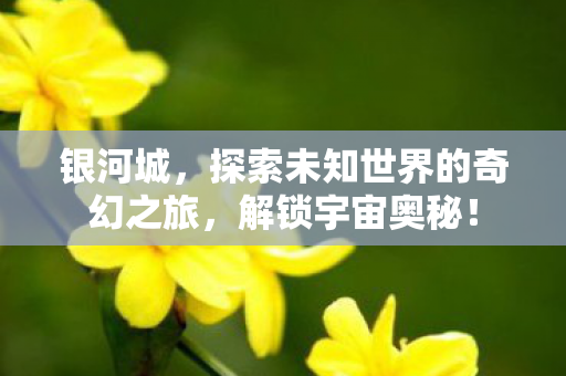 银河城，探索未知世界的奇幻之旅，解锁宇宙奥秘！