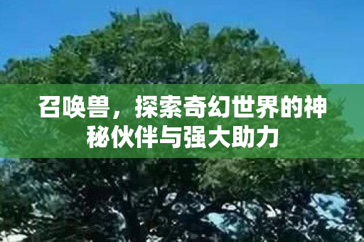 召唤兽,探索奇幻世界的神秘伙伴与强大助力 召唤兽,探索奇幻世界的神秘伙伴与强大助力