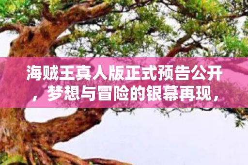 海贼王真人版正式预告公开，梦想与冒险的银幕再现，海贼王真人版预告，银幕再现梦想与冒险